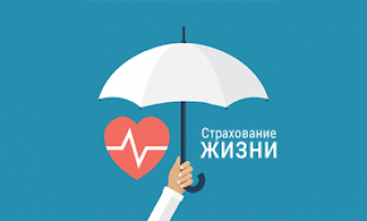 Бизнес-план «Открытие страховой компании в Нур-Султане»